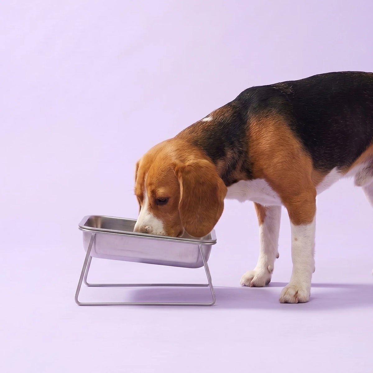 Duven™ Orthopedic Feeding Bowl — Medium & Large Dogs