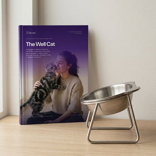The Well Cat ebook with a Duven cat bowl