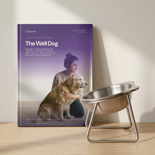 The Well Dog beside a Duven orthopedic feeding bowl