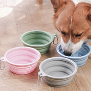 Duven™ Fold & Go Travel Bowl