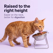 Duven™ Orthopedic Feeding Bowl — Cats