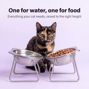 Duven™ Orthopedic Feeding Bowl — Cats
