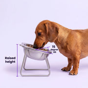 Duven™ Orthopedic Feeding Bowl — Small Dogs