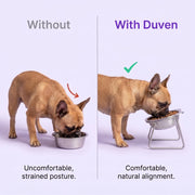 Duven™ Orthopedic Feeding Bowl — Small Dogs