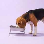 Duven™ Orthopedic Feeding Bowl — Medium & Large Dogs