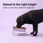 Duven™ Orthopedic Feeding Bowl — Medium & Large Dogs