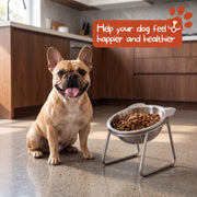 Duven™ Orthopedic Feeding Bowl — Small Dogs