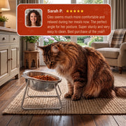 Duven™ Orthopedic Feeding Bowl — Cats