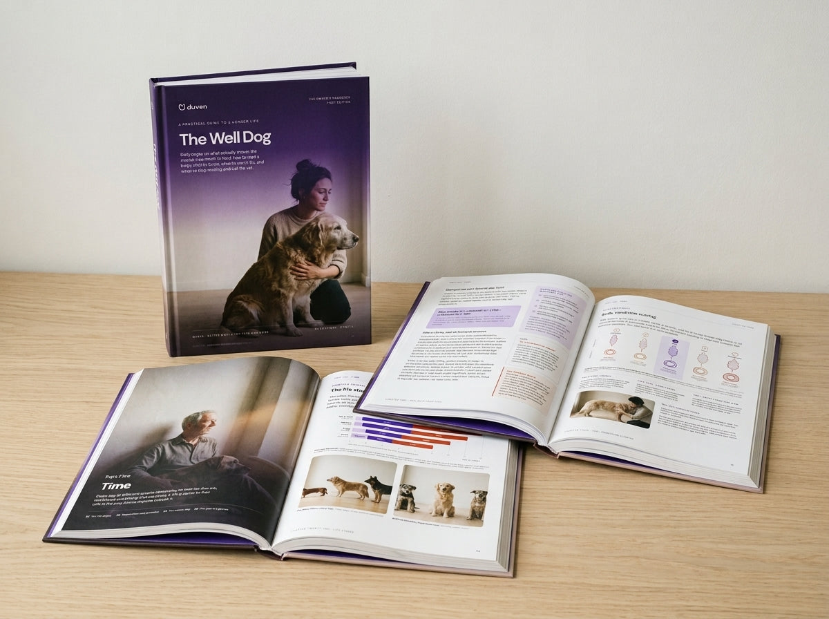 Inside The Well Dog: chapter spreads