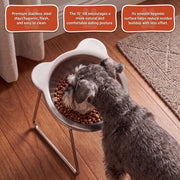 Duven™ Orthopedic Feeding Bowl — Small Dogs