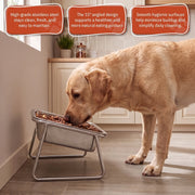 Duven™ Orthopedic Feeding Bowl — Medium & Large Dogs