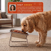 Duven™ Orthopedic Feeding Bowl — Medium & Large Dogs